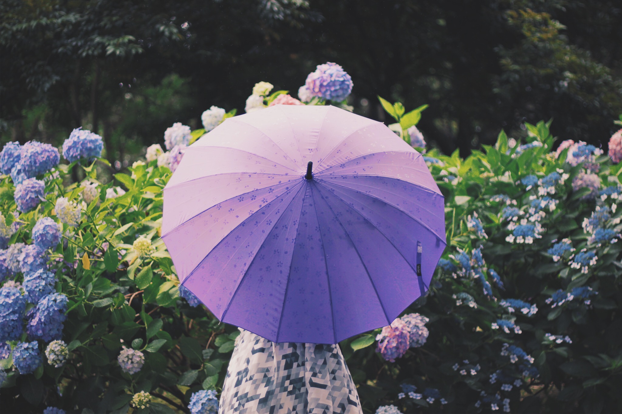 雨にも日差しにも負けない！　ロリィタファッションのための傘